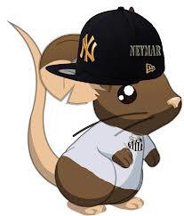 gokuzinho